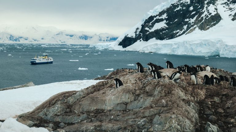 Antarctica21 campaign editorial photograph 24 of 25 by Max Zaharenkov in Antarctica