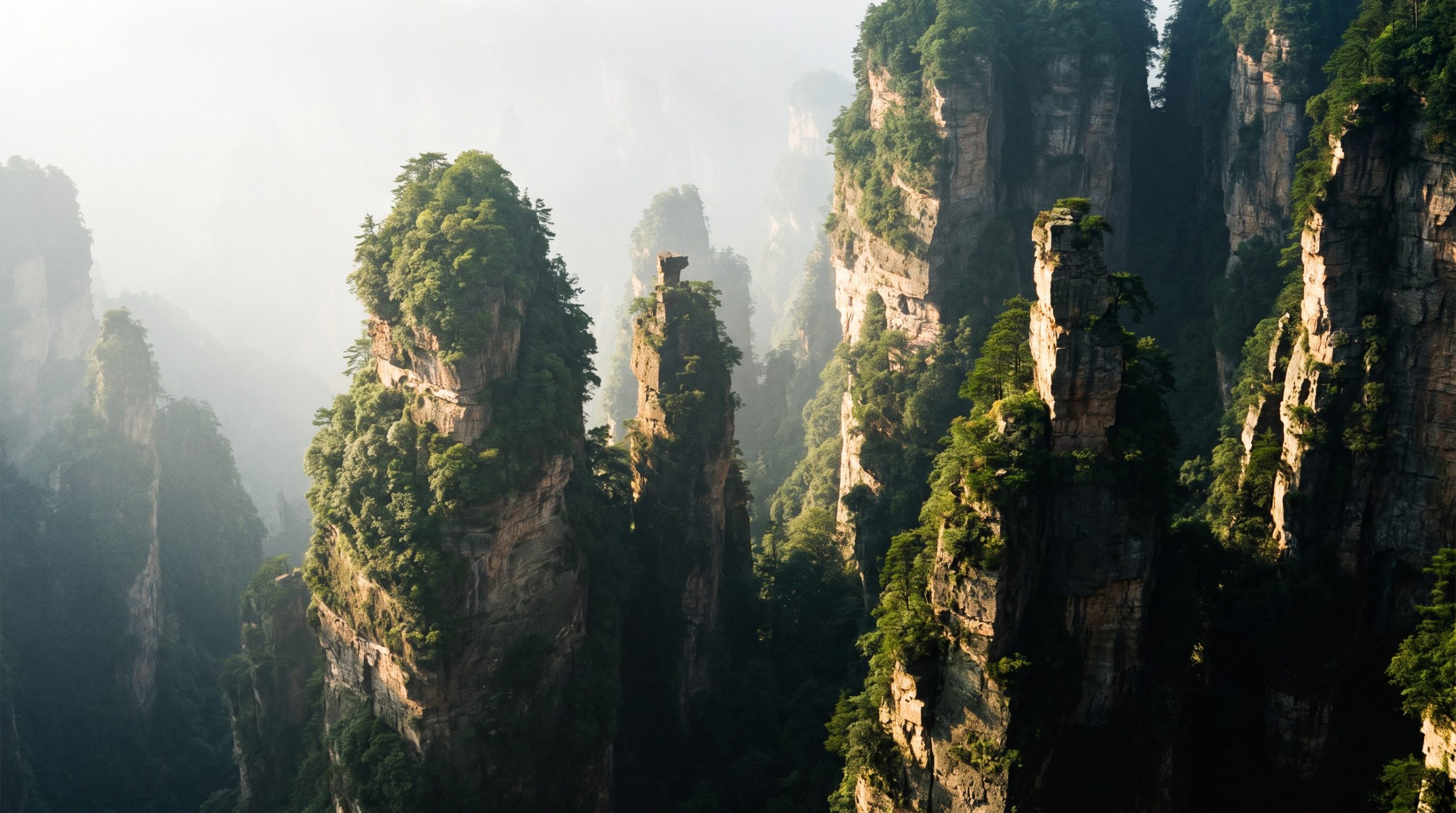 Zhangjiajie sandstone pillar mountains rising through mist at sunrise in China